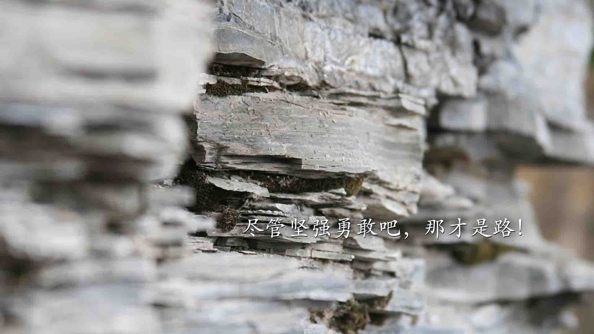 _AI智能裁判：打造公平公正体育环境_，人工智能篮球裁判