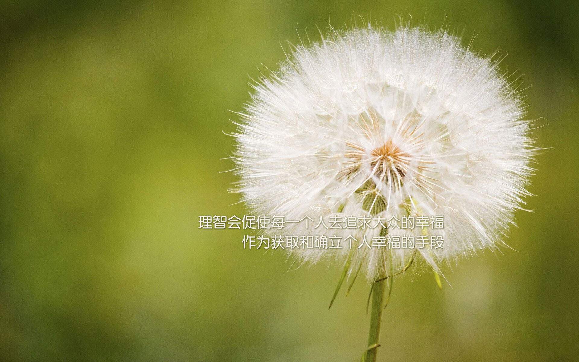 im体育官方平台-佛罗伦萨长传战术奏效，赢得比赛，佛罗伦萨duomo