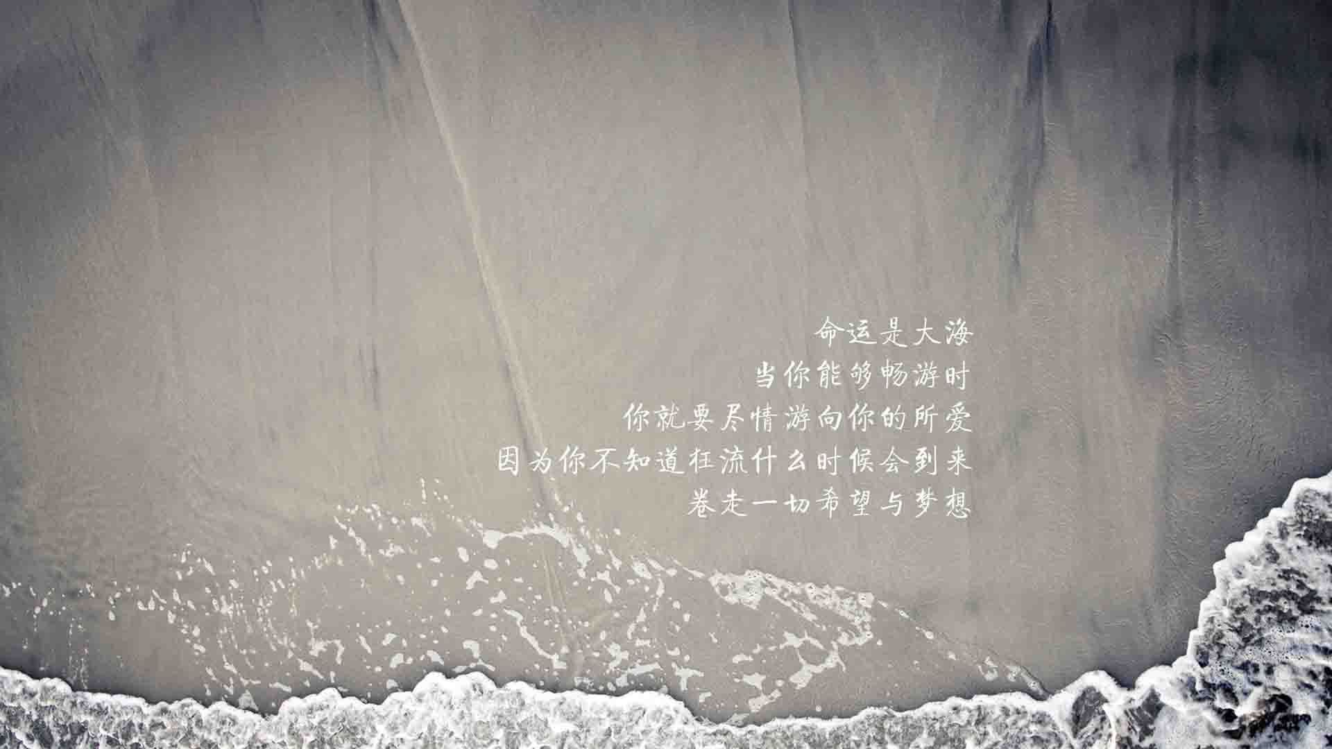 im体育官网-现场火爆：球迷热情支持下的疯狂场面，足球球迷现场