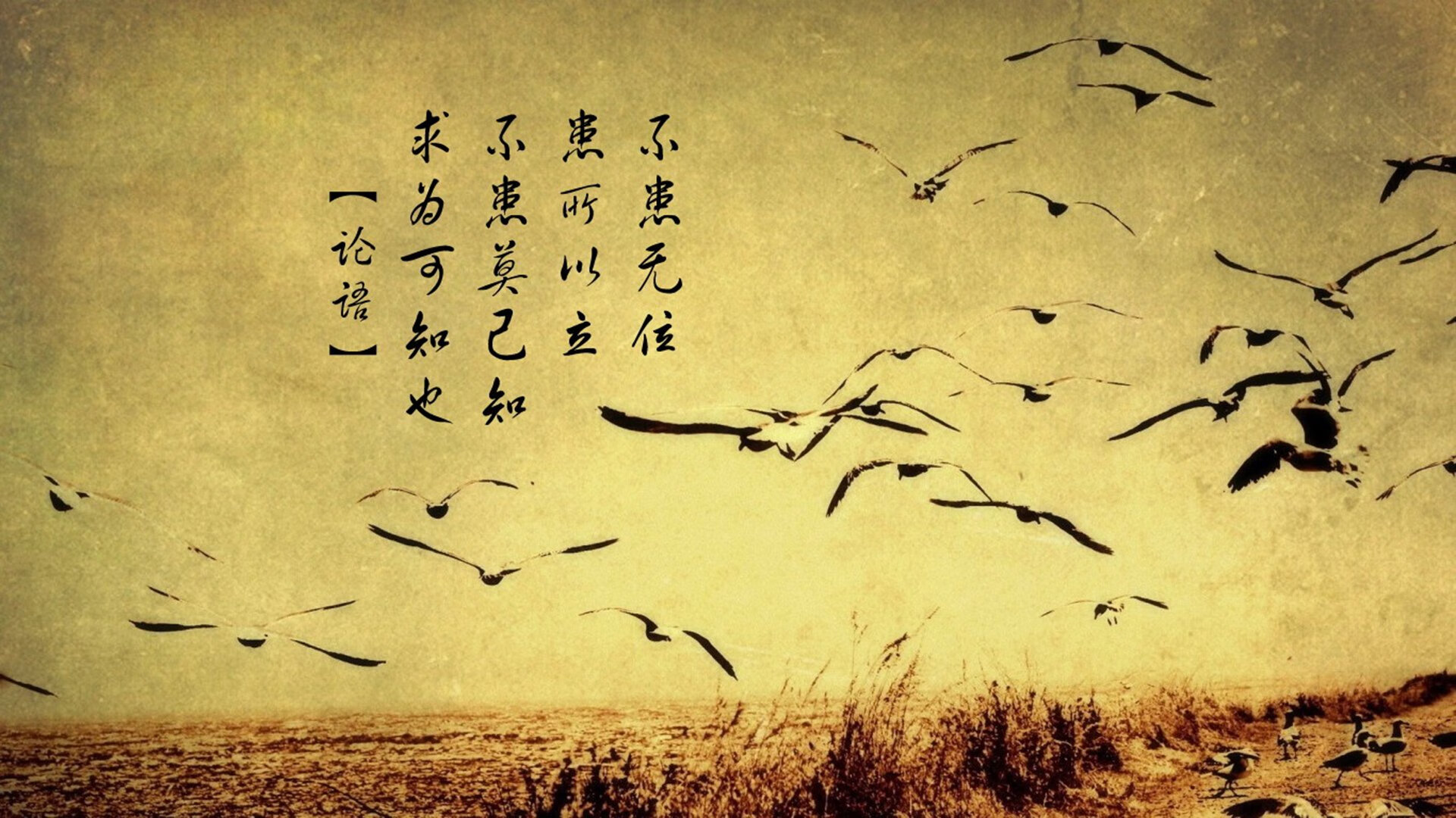 全国青少年篮球训练营助推未来之星崛起，青少年篮球训练基地