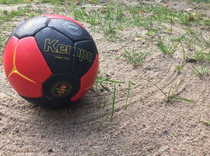 im体育在线登录入口地址-全国老年人健身球操赛展银发激情，老年健身球类