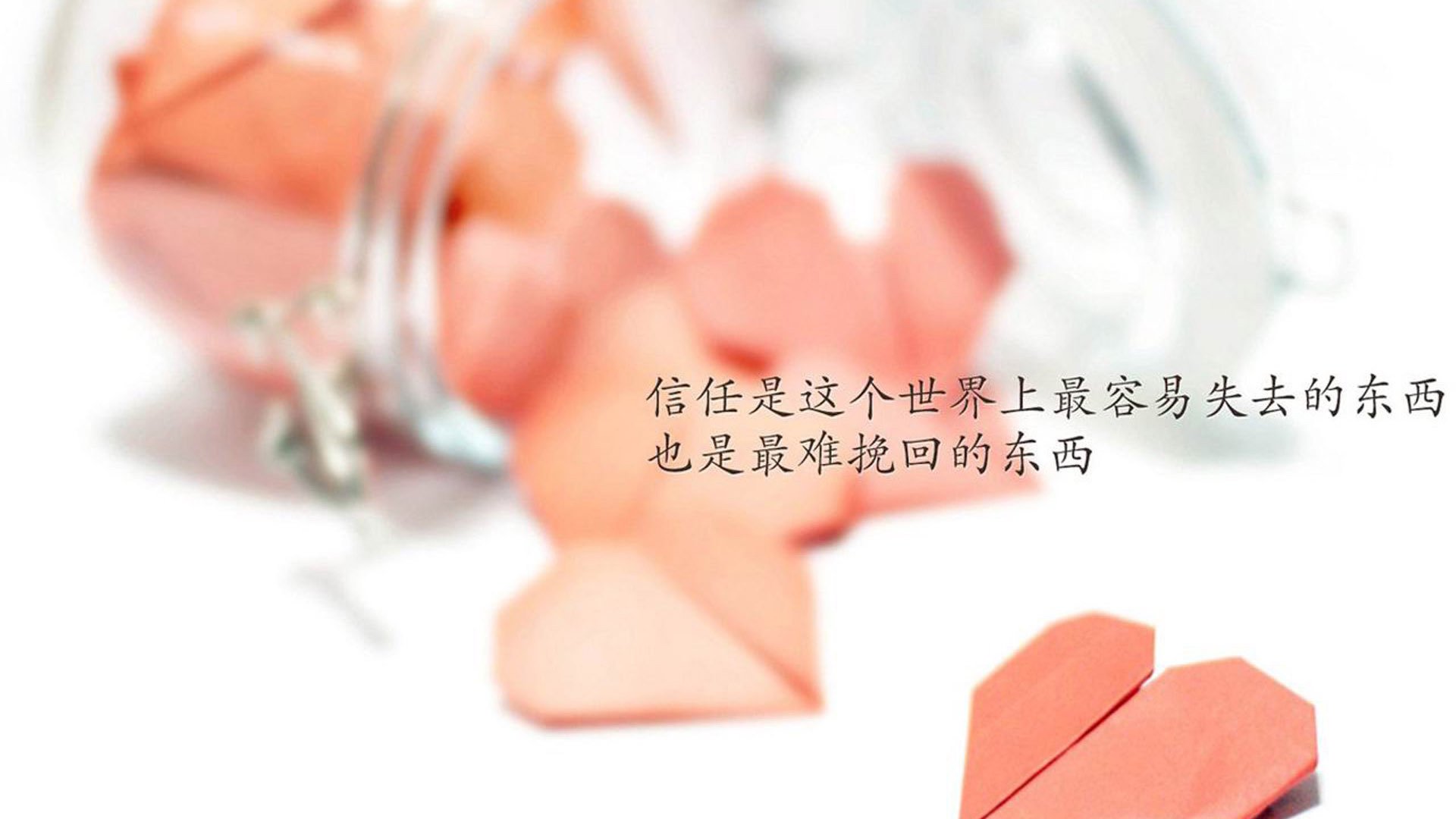 全国少儿田径锦标赛在上海举行,全国青少年田径俱乐部锦标赛