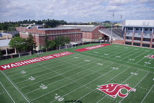 IM体官网-篮球专项体能训练监测技术及应用实践，篮球项目的体能训练方法