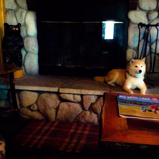 篮球运动战术分析软件开发应用，篮球运动战术分析软件开发应用实验报告