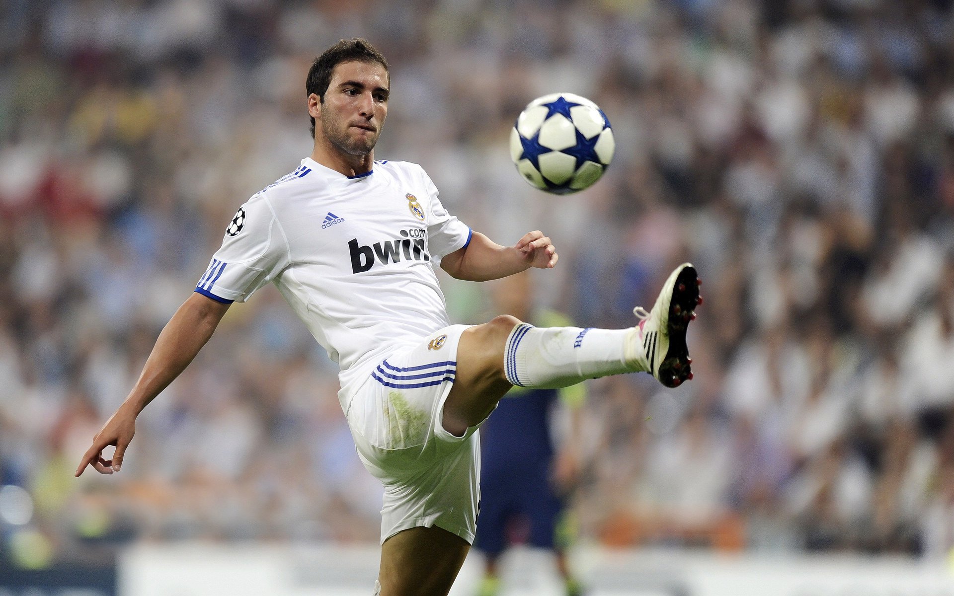 im电竞官网首页-Palmer技战术全面，极具发展潜力，palmer owned