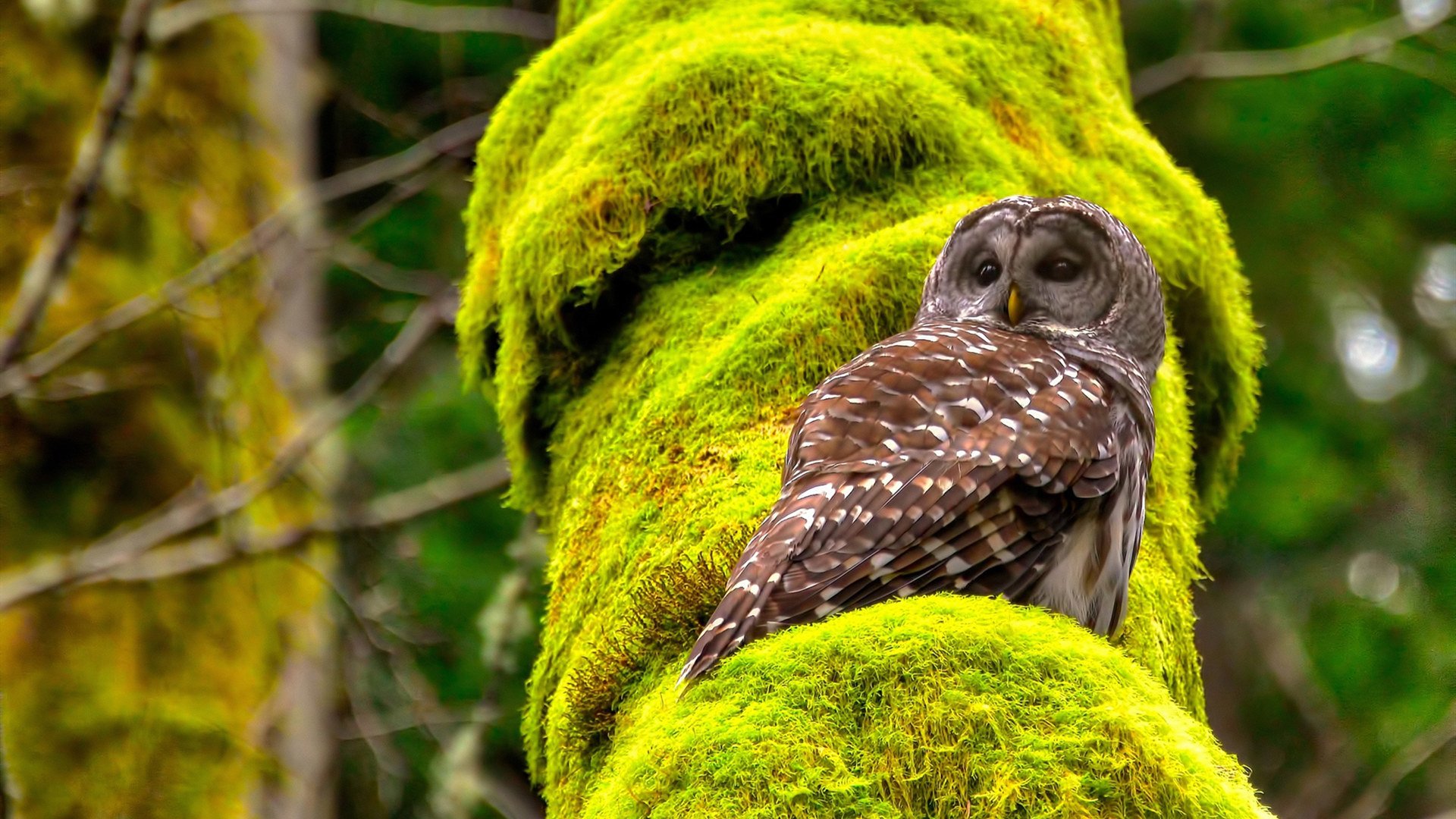 im体育电脑版-国家队逆转国际热身赛 热血之战备受期待，中国国家队热身赛