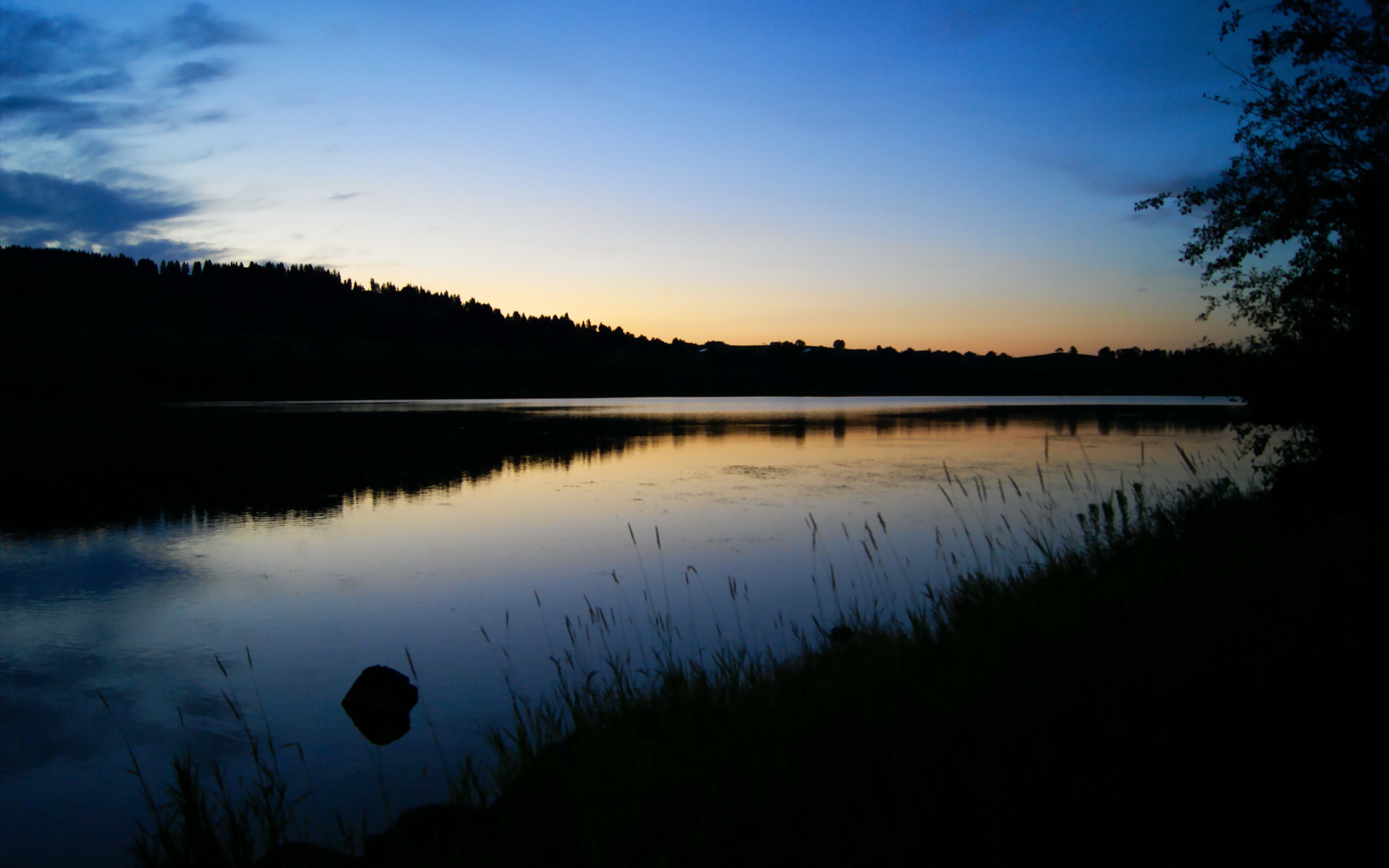 国家体育总局启动校园体教融合试点,国家体育总局启动校园体教融合试点工作
