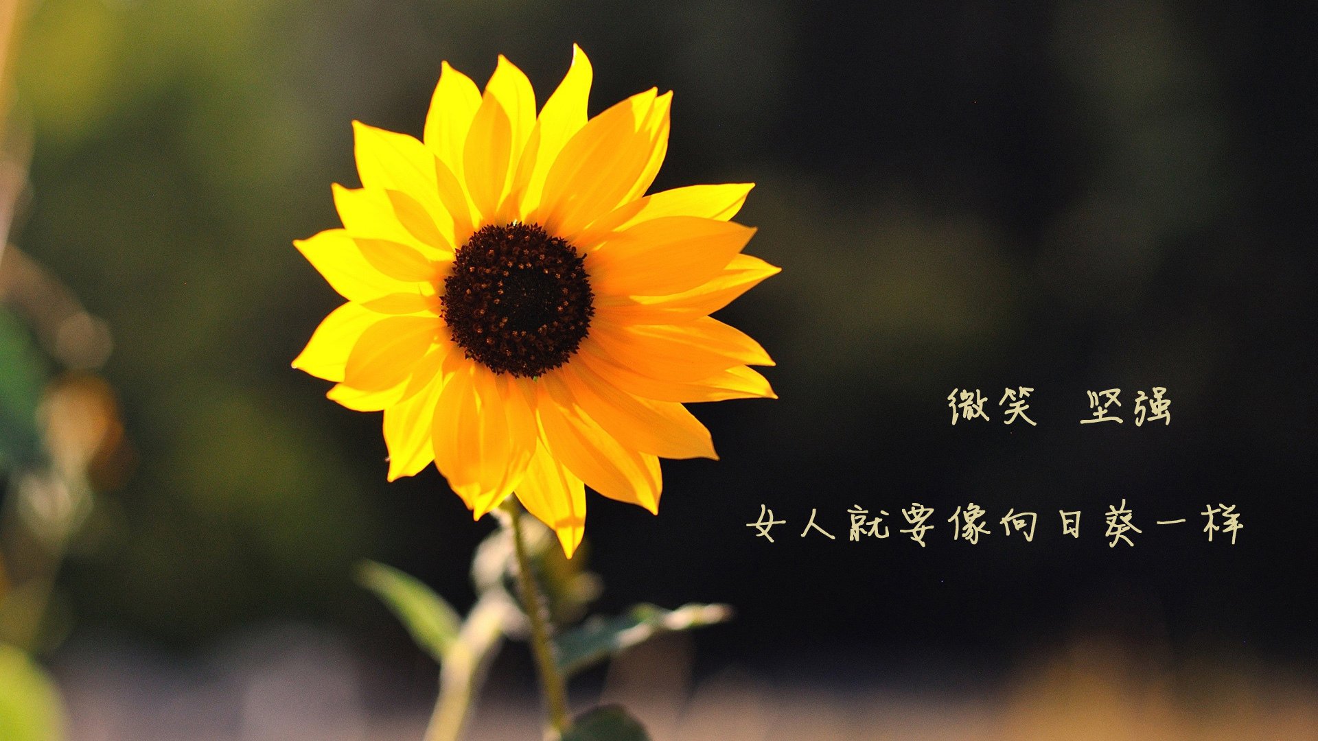 基层教练上升通道被严重压缩