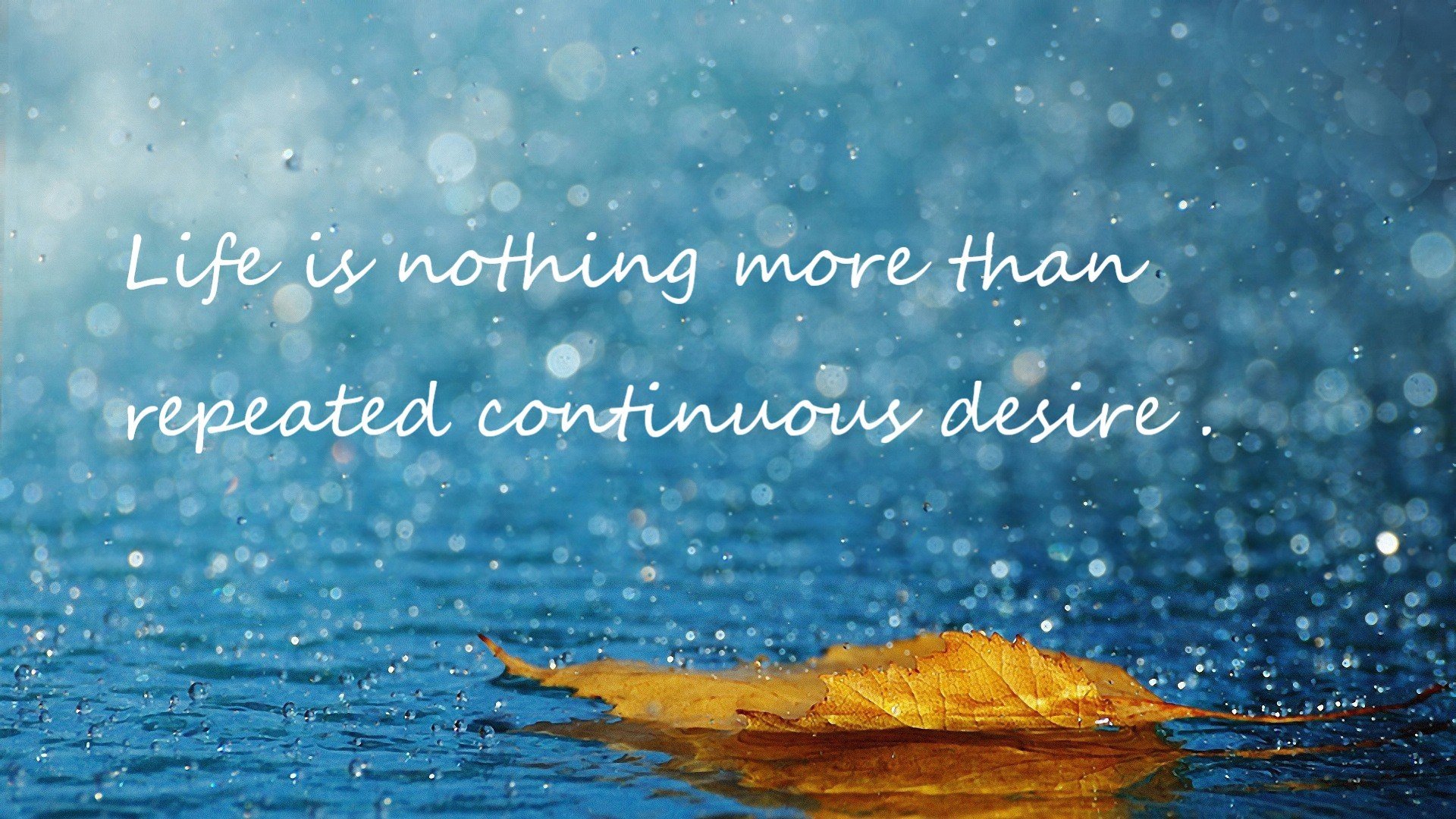 教练团队临场应变战术打法成关注焦点,作为教练员如何临场指导