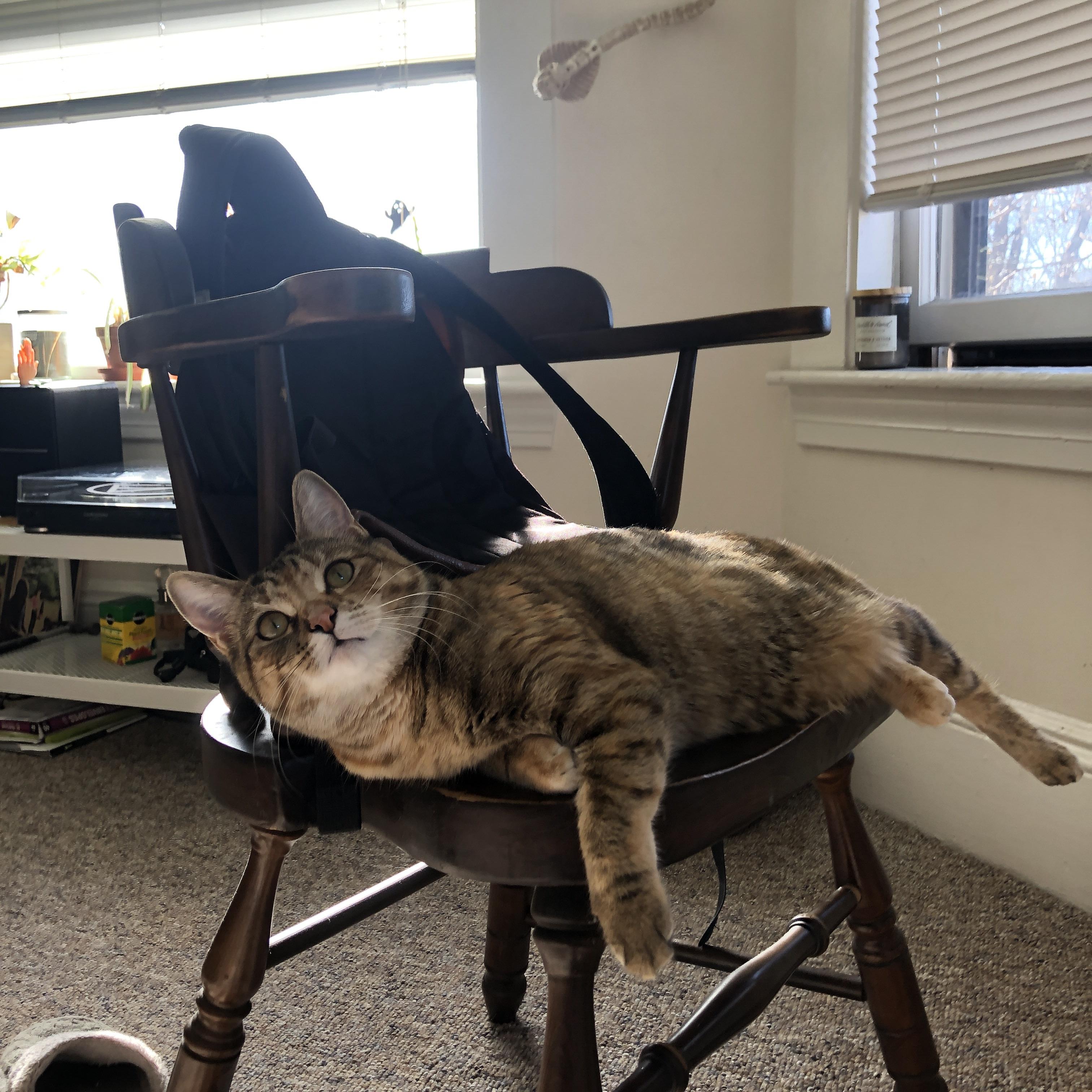 青训成果与国家队需求错位问题明显,青训体系