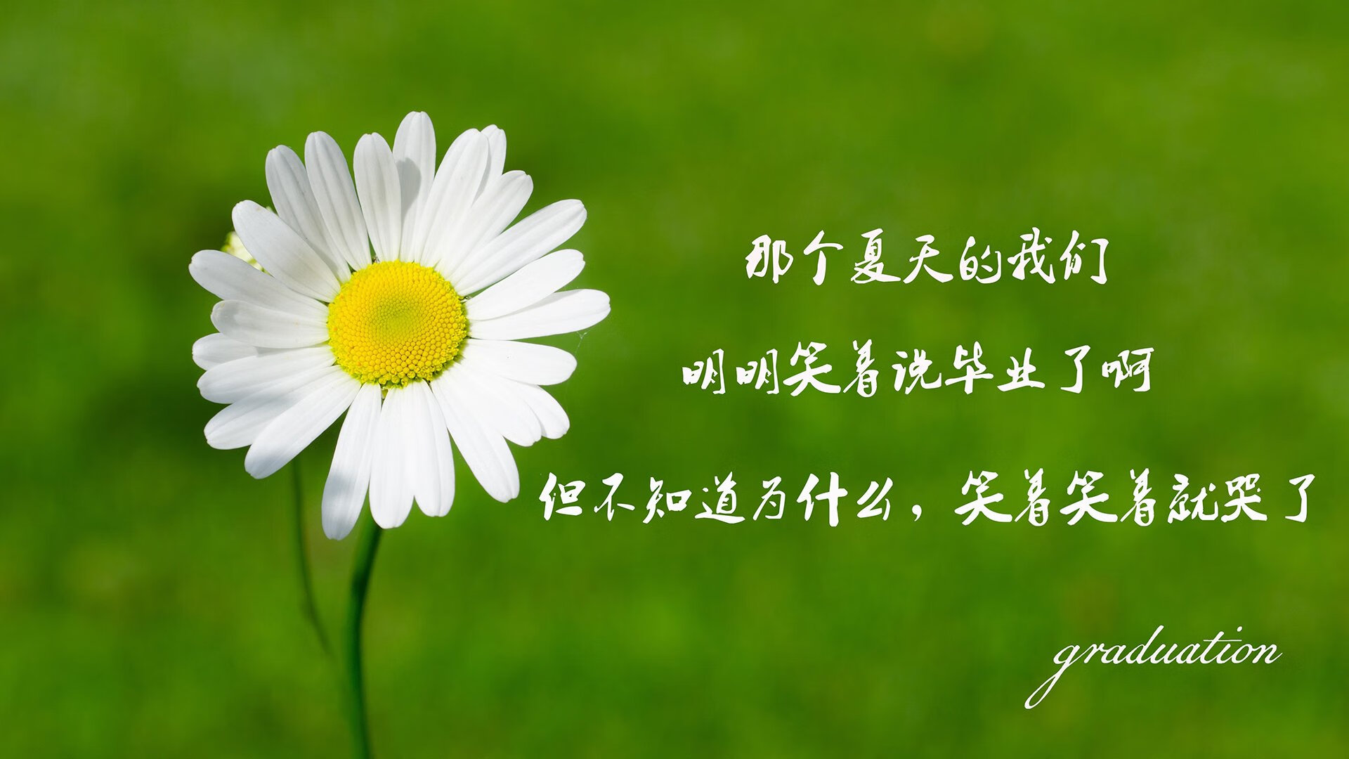 基：全黑队的“后场指挥官”，他为防线和进攻提供了稳定的保障