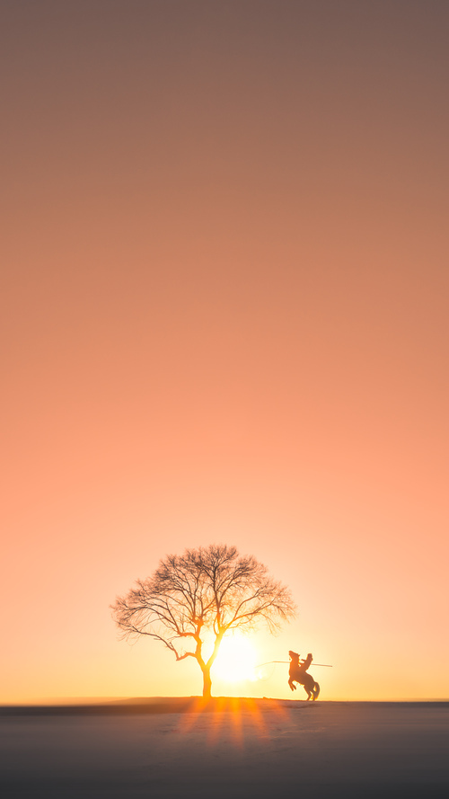 美洲杯明星闪耀天际:精彩瞬间不停!,美洲杯角色